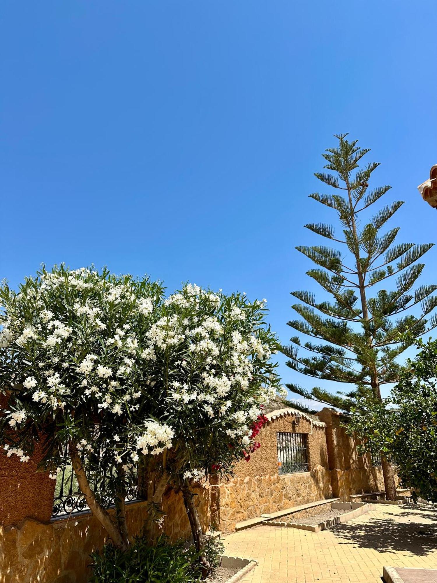 Casa Rural El Pomelo Zurgena Luaran gambar